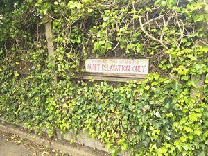 Photo 22- click for photo gallery